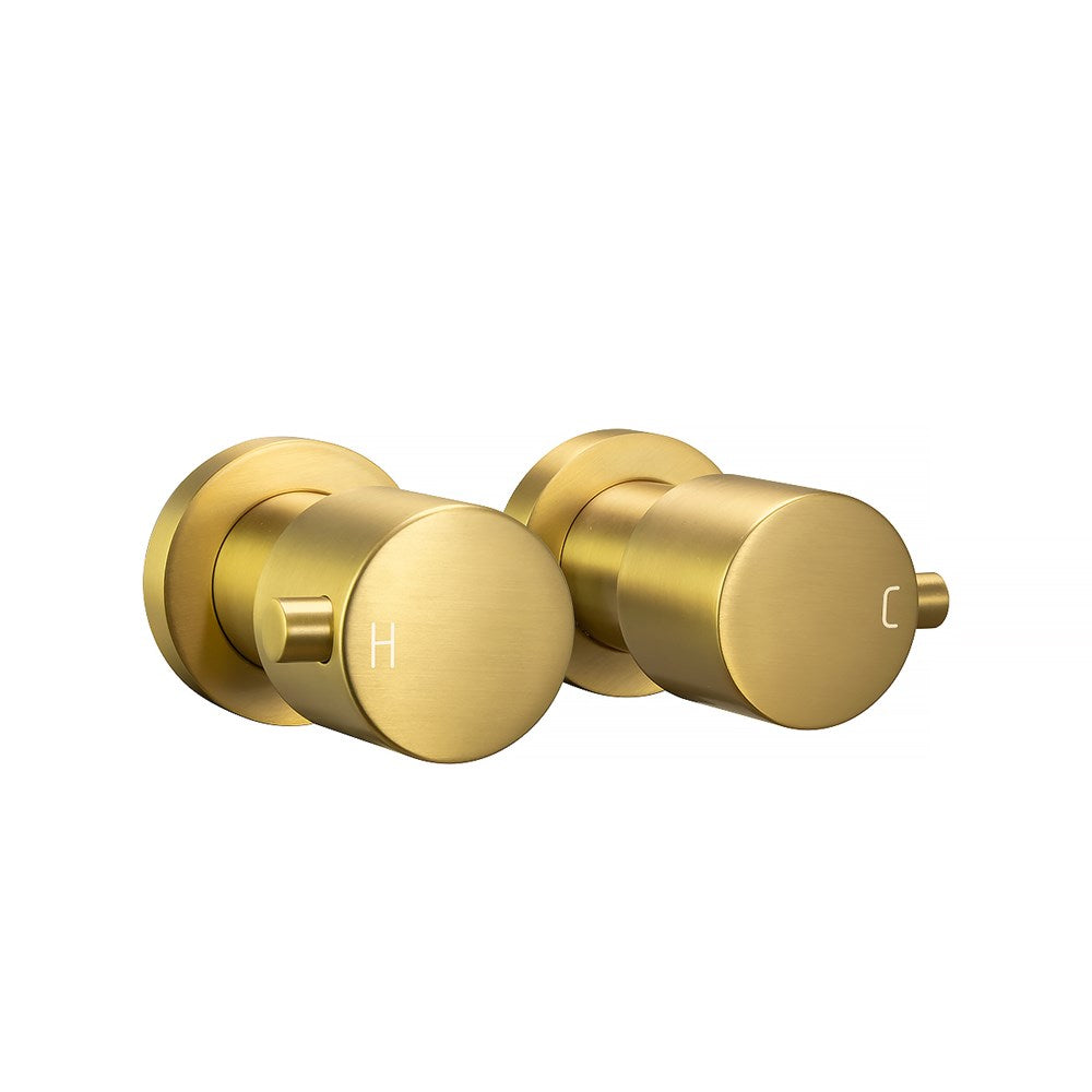 Aquaperla Wall Top Assembly Tap Pair - Brushed Brass (BUYG0007.ST)