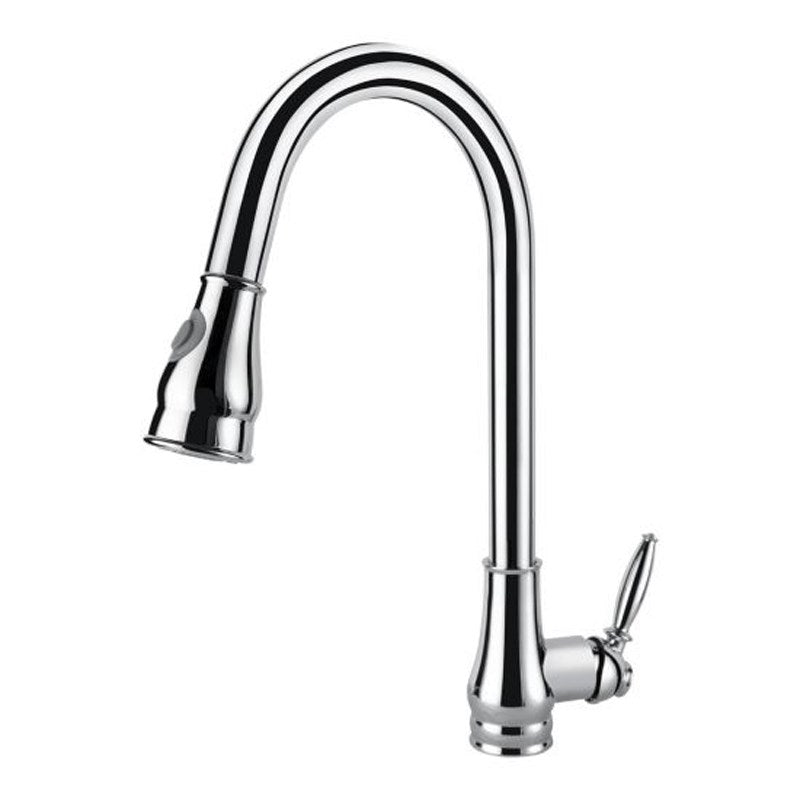 Aquaperla Pull Out Kitchen Mixer - Chrome