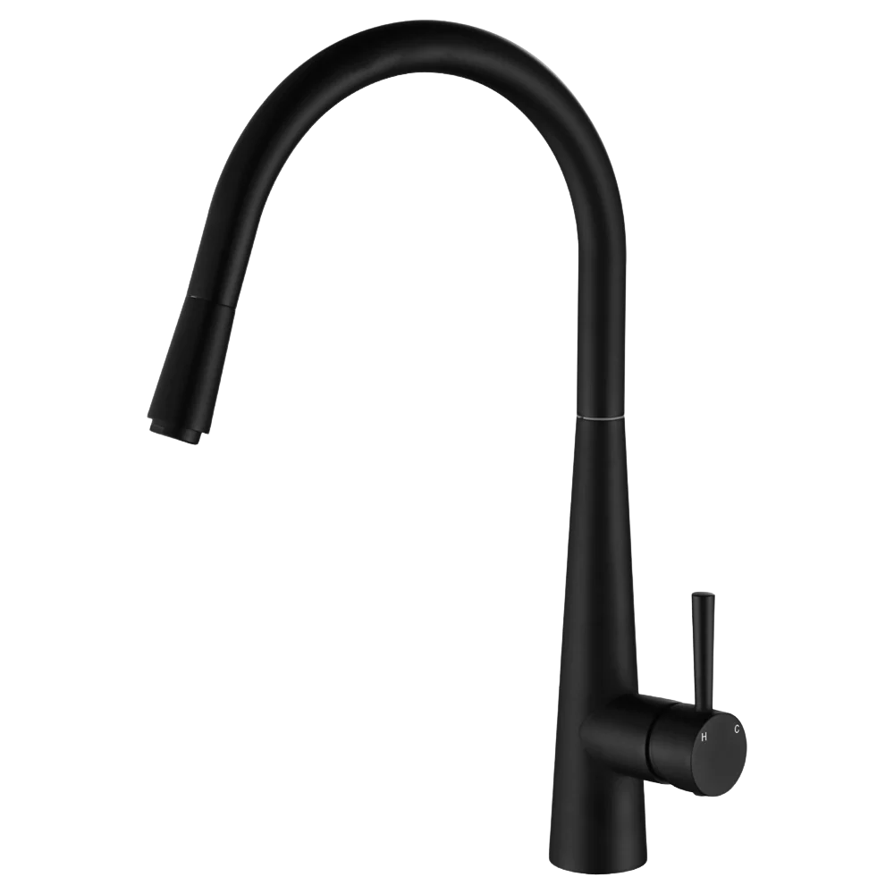 Fienza Hustle Deluxe Gooseneck Pull-Out Kitchen Mixer - Matte Black