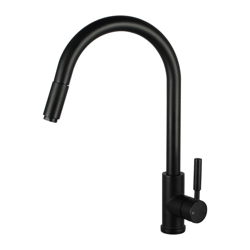 Aquaperla Pull Out Kitchen Mixer - Black