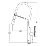 Aquaperla Pull Out Kitchen Mixer - Chrome