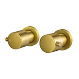 Aquaperla Wall Top Assembly Tap Pair - Brushed Brass (BUYG0007.ST)