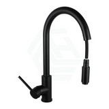 Aquaperla Pull Out Kitchen Mixer - Black