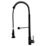 Aquaperla Pull Out Kitchen Mixer - Black