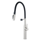 Aquaperla Kitchen Mixer - Brushed Nickel