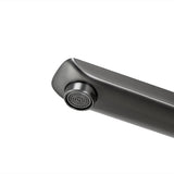 Aquaperla Rushy Spout Mixer - Brushed Gunmetal
