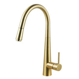Aquaperla Pull Out Kitchen Mixer - Brushed Brass