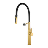 Aquaperla Kitchen Mixer - Brushed Brass