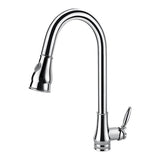 Aquaperla Pull Out Kitchen Mixer - Chrome