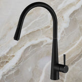 Fienza Hustle Deluxe Gooseneck Pull-Out Kitchen Mixer - Matte Black