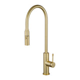 Aquaperla Pull Out Kitchen Mixer - Light Brushed Brass