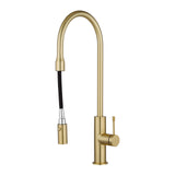 Aquaperla Pull Out Kitchen Mixer - Light Brushed Brass