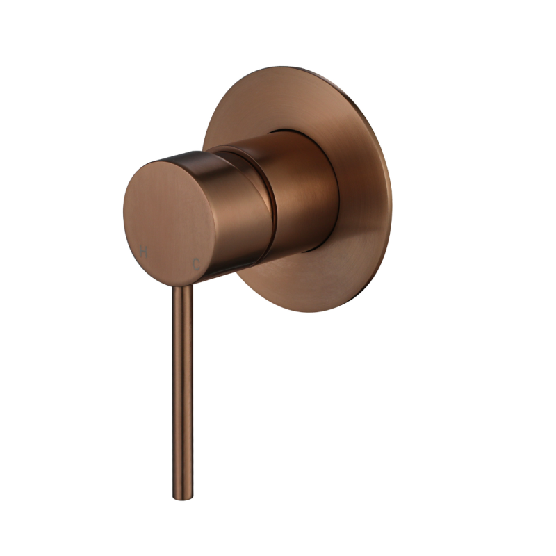Modern National Star Mini Shower Mixer 80mm Champagne