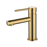 Modern National Star Mini Basin Mixer Polished Brass