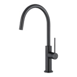 Aquaperla Standard Slim Stainless Steel Kitchen Mixer With 360° Swivel Spout - Black