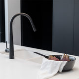 Aquaperla Pull Out Kitchen Mixer - Black