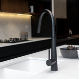 Aquaperla Pull Out Kitchen Mixer - Black