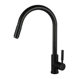 Aquaperla Pull Out Kitchen Mixer - Black