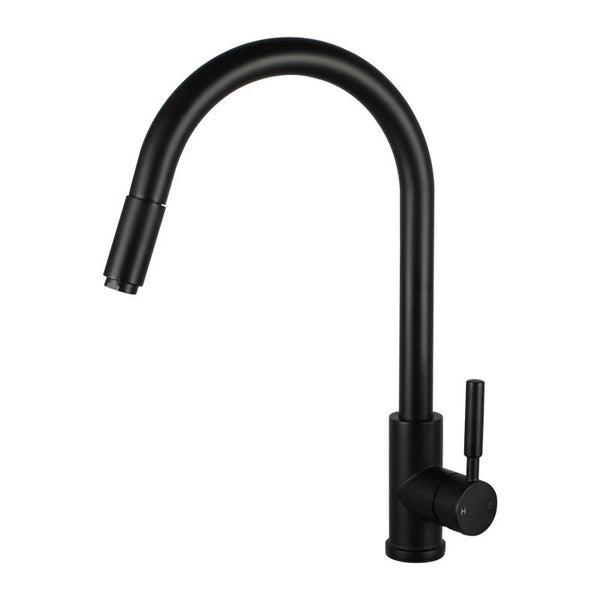 Aquaperla Pull Out Kitchen Mixer - Black
