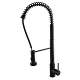 Aquaperla Pull Out Kitchen Mixer - Black