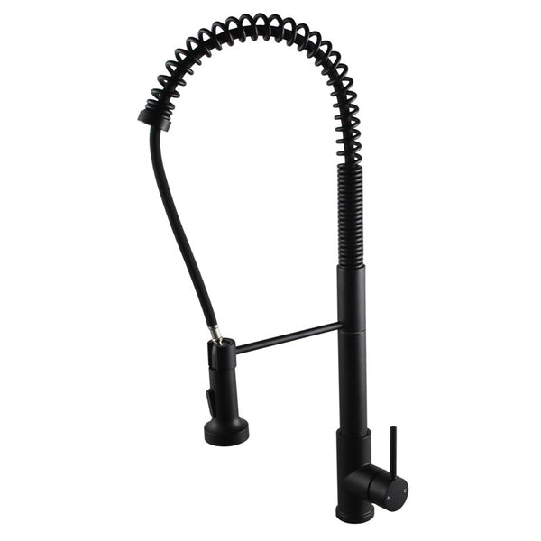 Aquaperla Pull Out Kitchen Mixer - Black