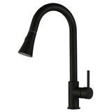 Aquaperla Pull Out Kitchen Mixer - Matte Black