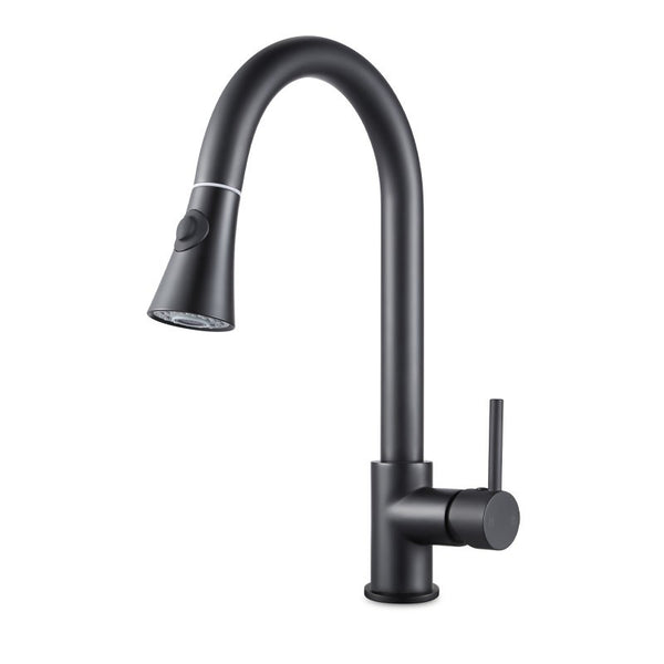 Aquaperla Pull Out Kitchen Mixer - Matte Black